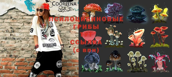 ешки Балахна
